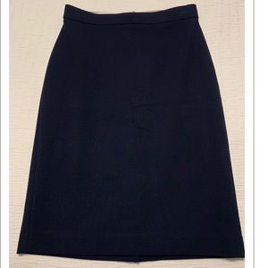 Ann Taylor Skirt
